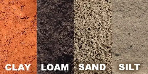 How To Identify Soil Type & Amend It For Your Plants