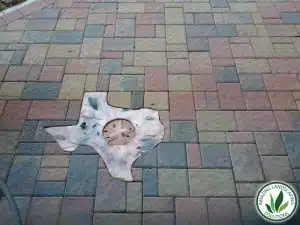 amazing-landscaping-solutions-work