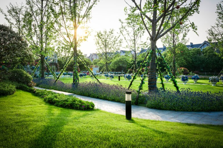 delaware landscaping