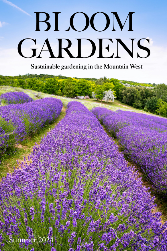 bloom-gardens-magazine