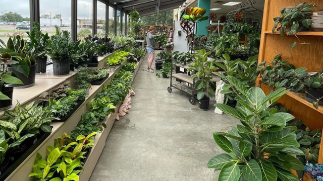 brady-nursery-centre