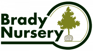 brady-nursery-logo