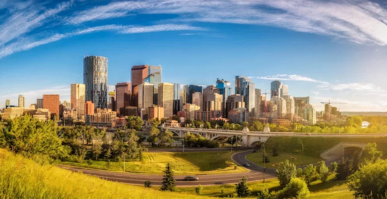 calgary yard bylaws