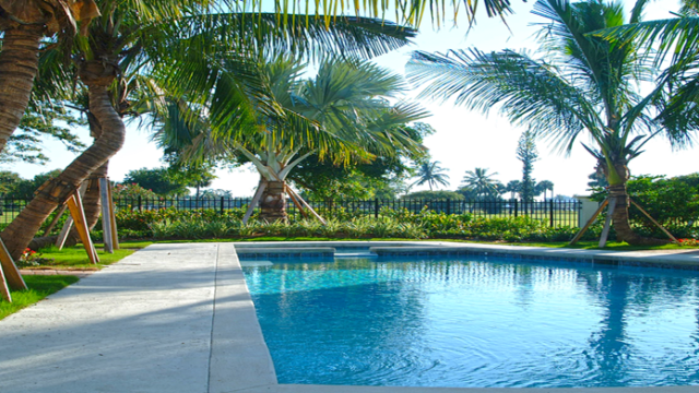 dixie-landscapes-portfolio