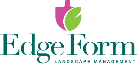 edge-form-landscape-logo
