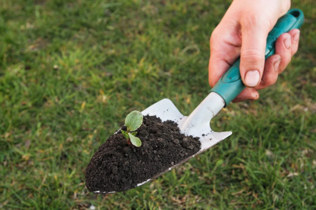 garden hand trowel
