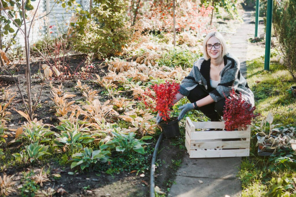 minnesota landscaping