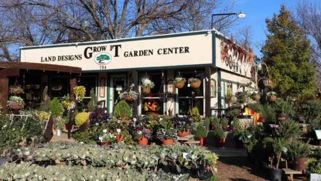 grow-it-land-designs-shop