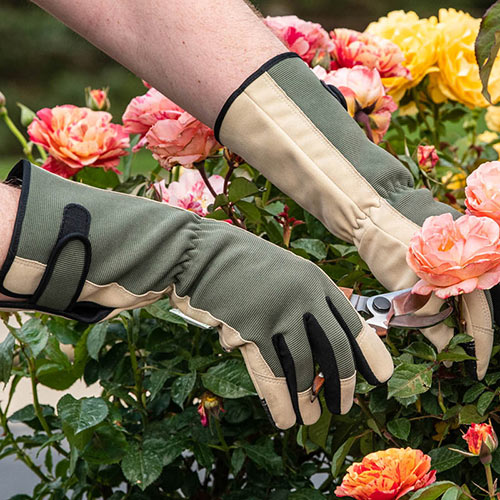 guantlet gloves