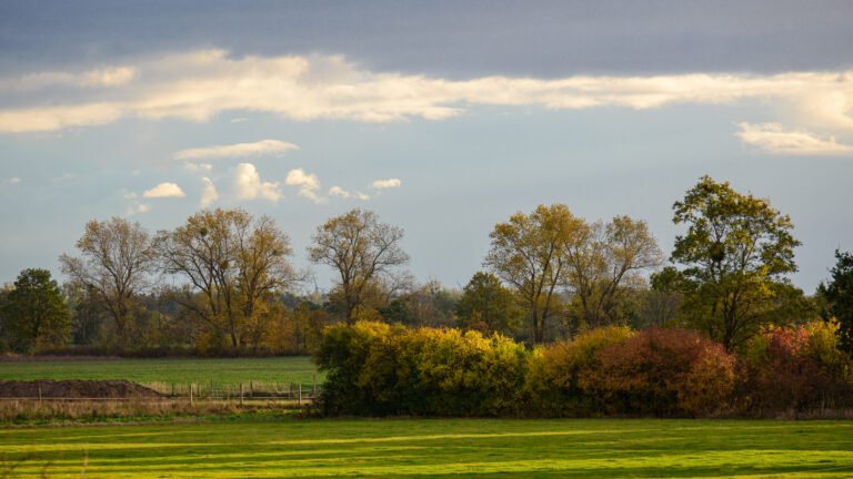 iowa landscaping