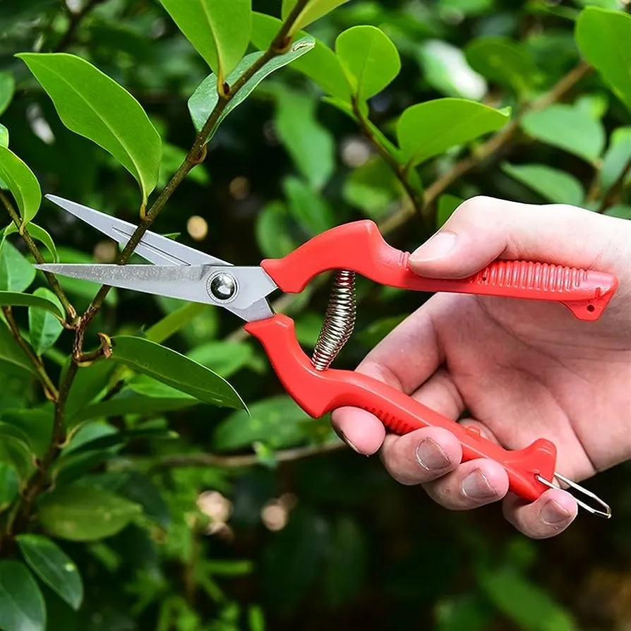 Needle nose pruners