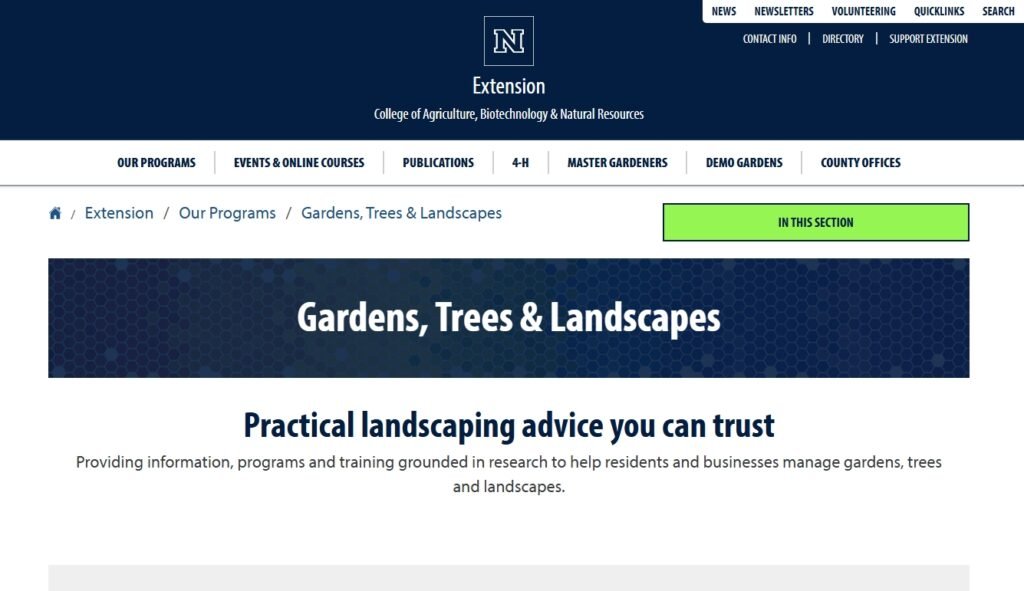 Practical advice on landscaping