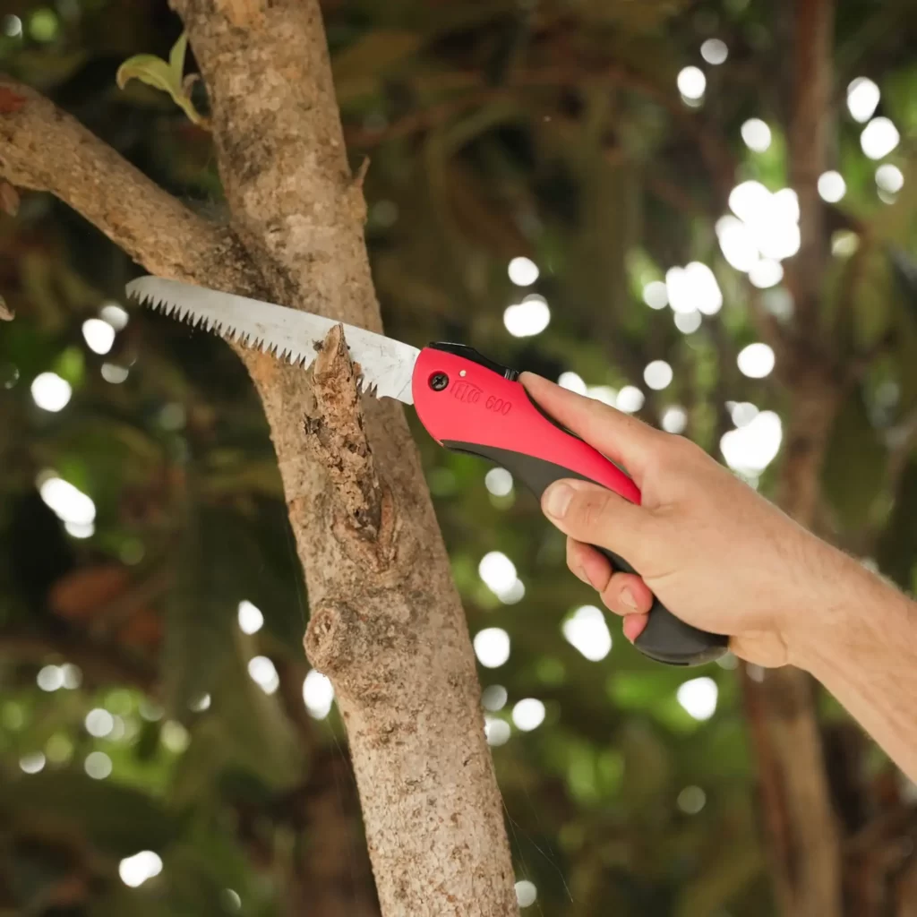 Pruning saw