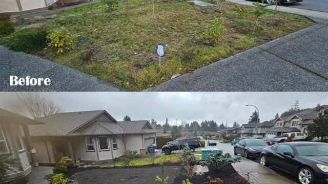 rainforest-landscaping-before-after