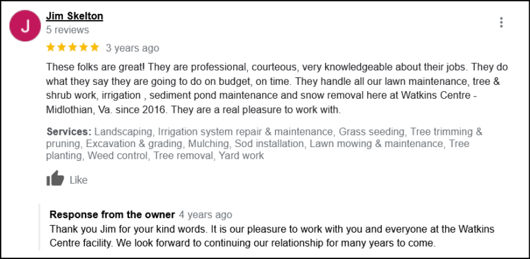 review type pricing budget