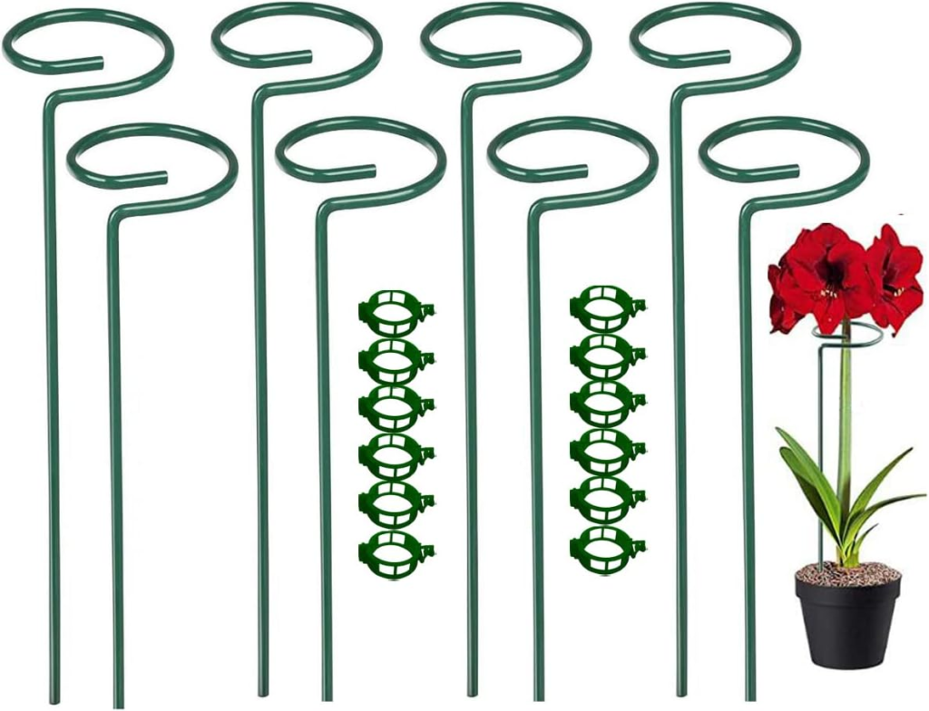 ring support stakes