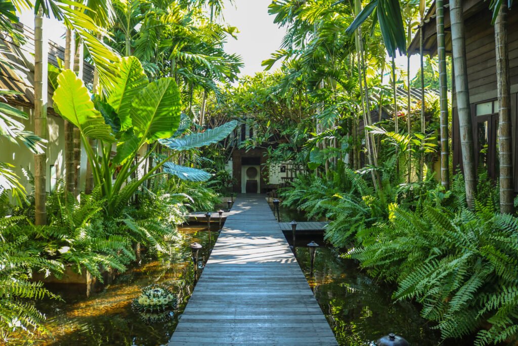 Lush tropical yard with palm trees and native plants maintained by a Hawaii landscaping team.