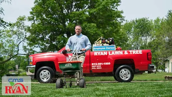 ryan-lawn-tree-truck