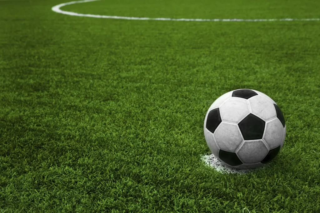 sports turf