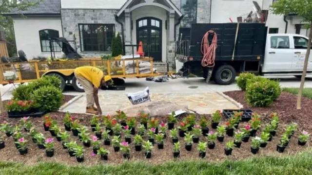 turf-titanz-project-wip