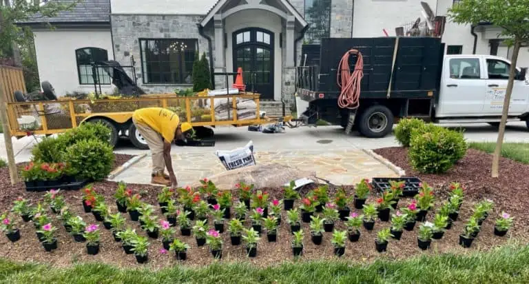 turf-titanz-project-wip