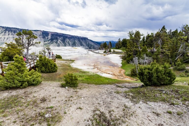alaska landscaping