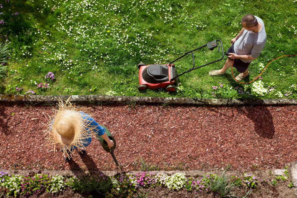 yard cleanup in softscaping