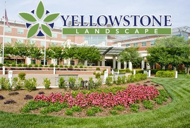 yellowstone-landscaping-company