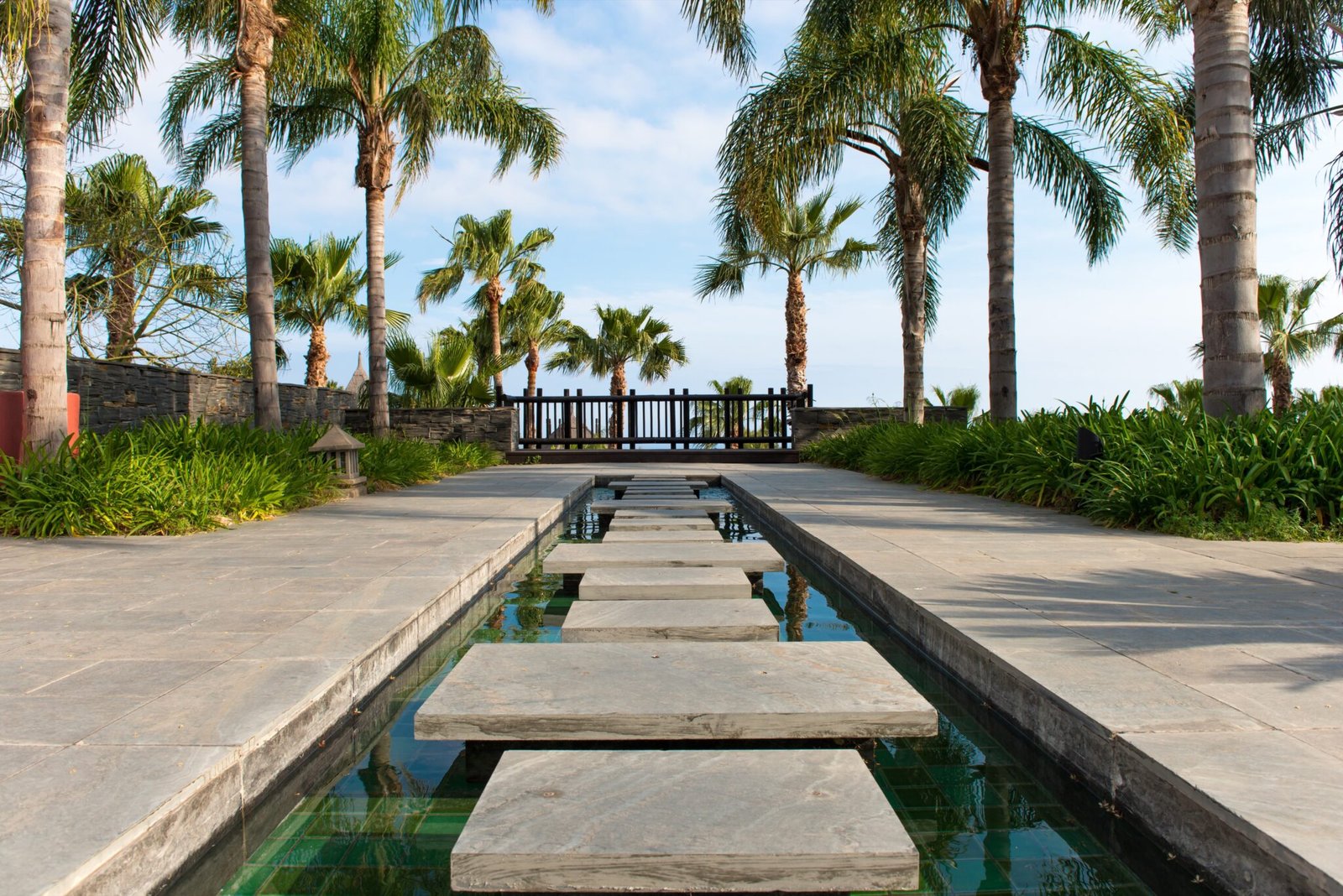 Landscape Code Fl Landscaping License Florida Requirements: Everything You Must Know